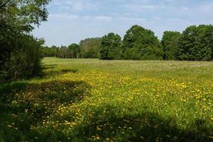 Sommerlandschaften in der lettischen Landschaft foto