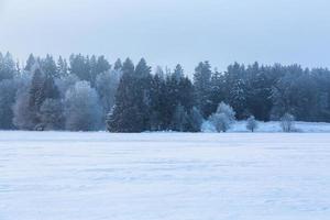 Winterlandschaften in Estland foto