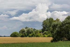 Ländliche Sommerlandschaften im Baltikum foto