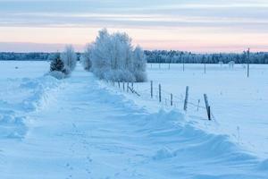 Winterlandschaften in Estland foto