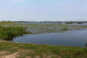 Sommerlandschaften in Lettland foto