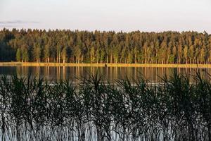 Sommerlandschaften in Lettland foto