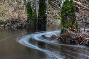 ein kleiner Waldfluss im Frühling foto