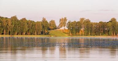 Sommerlandschaften in Lettland foto