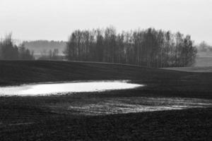 Herbstlandschaften in Lettland foto