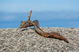 Naturlandschaften der Insel Vormsi foto