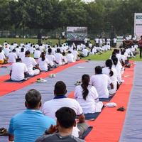 Gruppen-Yoga-Übungssitzung für Menschen verschiedener Altersgruppen im Cricket-Stadion in Delhi am internationalen Yoga-Tag, große Gruppe von Erwachsenen, die an Yoga-Sitzungen teilnehmen foto