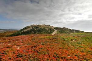 der fort ord dunes state park ist ein state park in kalifornien, vereinigte staaten, entlang einer 4 meilen langen küstenlinie an der bucht von monterey und aus einem teil des geschlossenen fort ord entstanden. foto