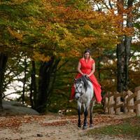 Eine Frau in einem roten Kleid sitzt auf einem Pferd, ein Herbstspaziergang im Wald. foto