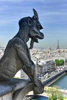 die pariser skyline von notre dame de paris, kathedrale in frankreich. foto