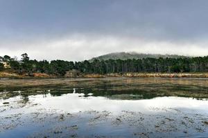 Point Lobos State Natural Reserve südlich von Carmel-by-the-Sea, Kalifornien, USA, und am nördlichen Ende der Big-Sur-Küste des Pazifischen Ozeans foto