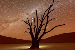 Dead Vlei, Namibia in der Abenddämmerung foto