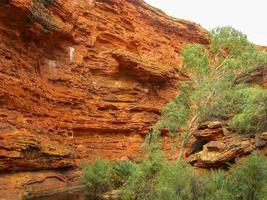 Panoramablick auf den Kings Canyon, Zentralaustralien, Northern Territory, Australien foto