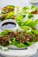 Hähnchen- oder Truthahn-Wraps mit asiatischem Salat foto