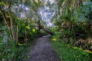 Victoria Falls Park, Simbabwe foto