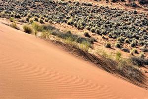 Wüstenlandschaft - Namibrand, Namibia foto