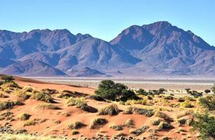 Wüstenlandschaft - Namibrand, Namibia foto