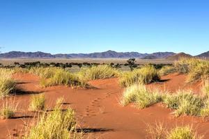 Wüstenlandschaft - Namibrand, Namibia foto