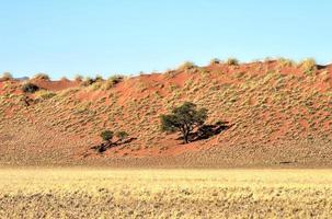 Wüstenlandschaft - Namibrand, Namibia foto