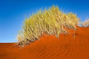 Wüstenlandschaft - Namibrand, Namibia foto