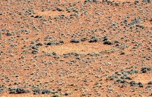 Feenkreise - Namibia foto