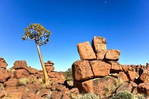 Spielplatz des Riesen - Namibia foto