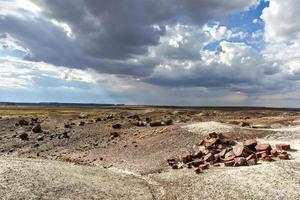 Der Kristallwald im Petrified-Forest-Nationalpark in Arizona. foto