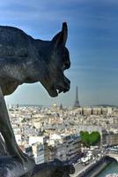 die pariser skyline von notre dame de paris, kathedrale in frankreich. foto