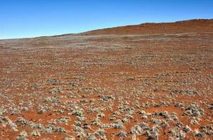 Feenkreise - Namibia foto