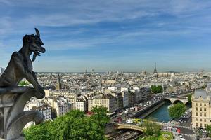die pariser skyline von notre dame de paris, kathedrale in frankreich. foto