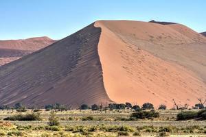 Namib-Wüste, Namibia foto