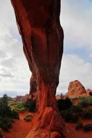 Kiefernbogen des Arches-Nationalparks foto