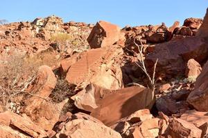 Buschmann-Felsgravuren - Namibia foto