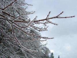 schneebedeckte Wanderwege in einem Winterskigebiet in Vermont foto