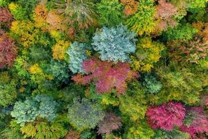 luftaufnahme von vermont und umgebung während der laubspitzen im herbst. foto