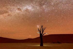 Dead Vlei, Namibia in der Abenddämmerung foto