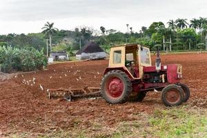 Traktor pflügt ein Tabakfeld in Vinales, Kuba. foto