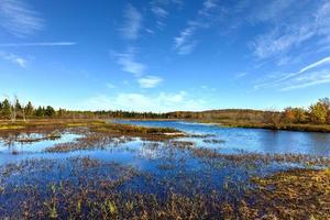 adirondacks herbstlaub, new york foto