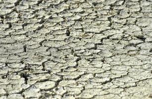 Etosha-Salzpfanne - Namibia foto