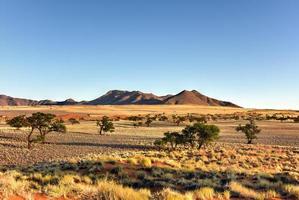 Wüstenlandschaft - Namibrand, Namibia foto