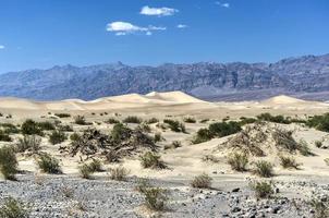 Mesquite flache Sanddünen, Death Valley foto