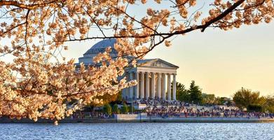 Kirschblütenfest - Washington, DC foto