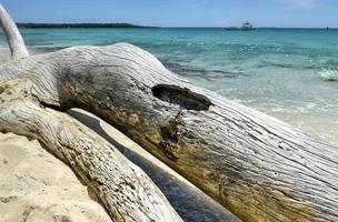 Strand entlang der Isla Catalina, Dominikanische Republik foto