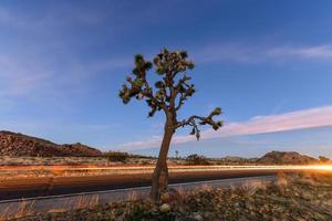 schöne landschaft im joshua tree national park in kalifornien bei nacht. foto