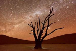 Dead Vlei, Namibia in der Abenddämmerung foto