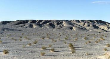 Mesquite flache Sanddünen, Death Valley foto