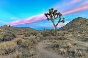 schöne landschaft im joshua tree national park in kalifornien. foto