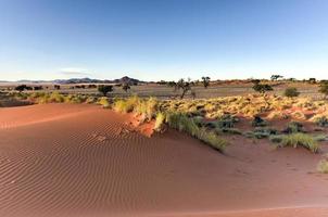 Wüstenlandschaft - Namibrand, Namibia foto