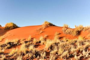 Wüstenlandschaft - Namibrand, Namibia foto