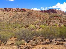 australische Outback-Landschaft. Buschvegetation in der Trockenzeit mit rotem Sand im Wüstenpark bei Alice Springs in der Nähe von Macdonnell Ranges im nördlichen Territorium, Zentralaustralien. foto